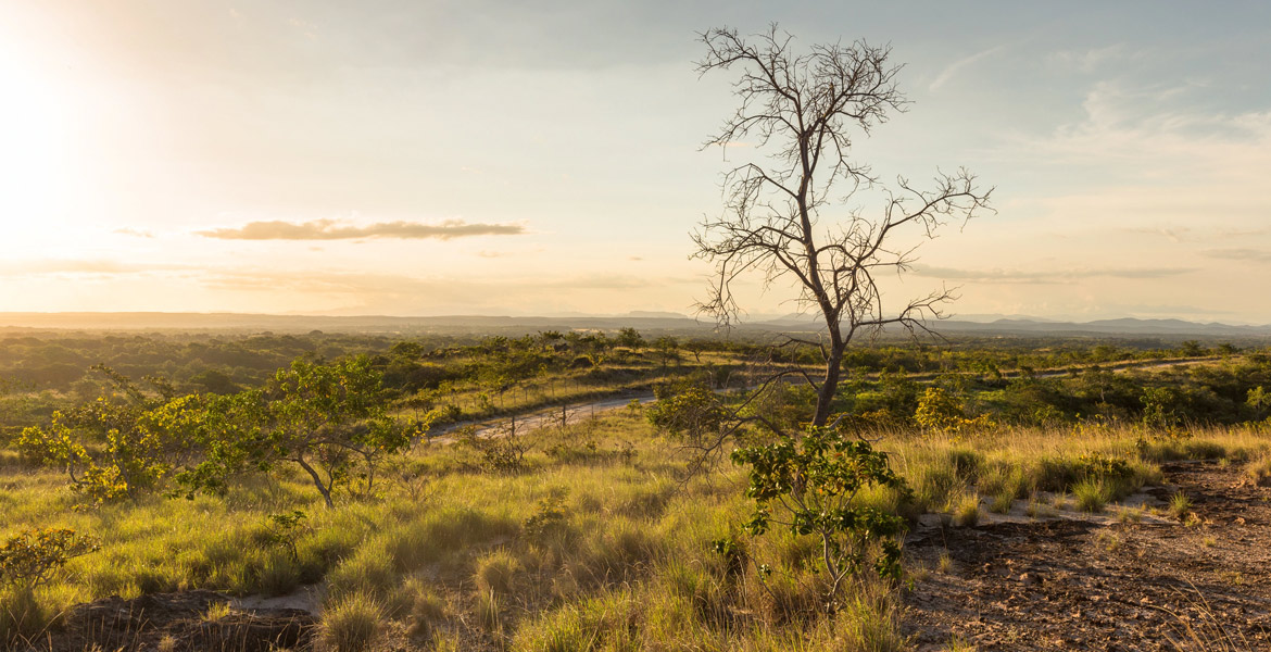  CADIROC Pijije Guanacaste - SE VENDE finca 